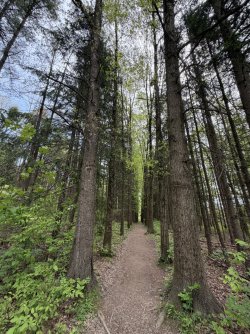 Plateau Trail 2.jpg