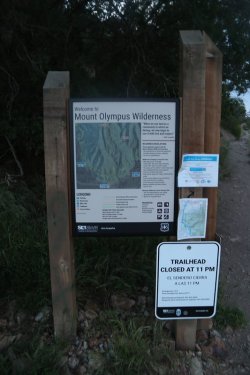 05.jpg