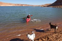 lake-powell-halls-creek-21.jpg