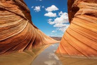 The Wave Sm contest.jpg