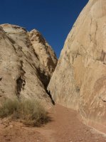 IMG_0149.JPG IMG_0149.JPG