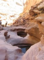 IMG_0167.JPG IMG_0167.JPG