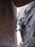 IMG_0194.JPG IMG_0194.JPG