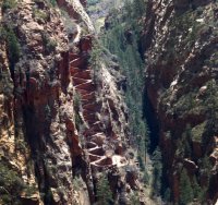 P1050715.jpg P1050715.jpg