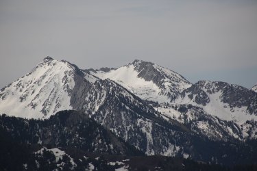 83.jpg