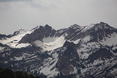 85.jpg