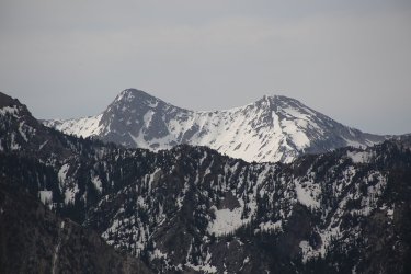94.jpg
