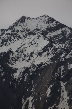 95.jpg