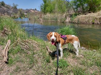 IMG_20220421_125150545_HDR.jpg