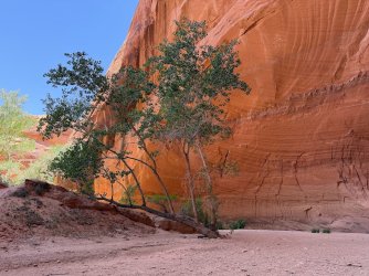 IMG_1689.jpg
