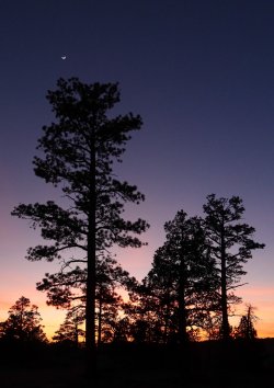 IMG_0298-copy-2.jpg