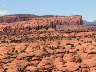 IMG_0844.jpeg