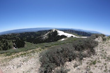 106.jpg