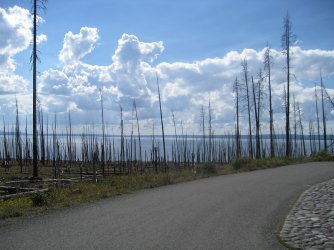 08.jpg