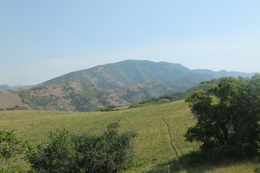 06.jpg