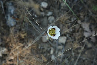 06f.jpg
