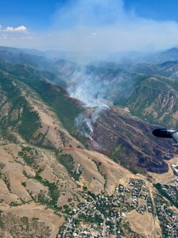 Mount_Van_Cott_Fire_02.jpg