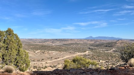 Daylight-IMG_9492.jpg