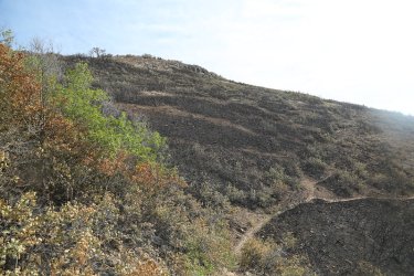65.jpg