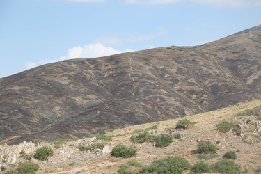 90.jpg
