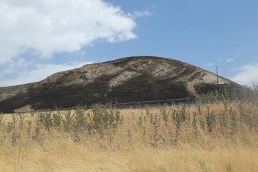 98.jpg