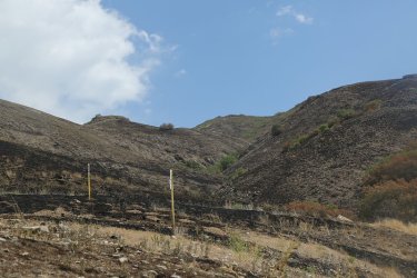 103.jpg