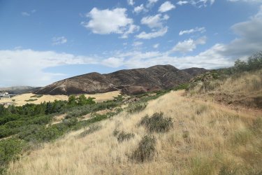 Thread 'Mount Van Cott Loop (Burnt edition) - June 27, 2026'