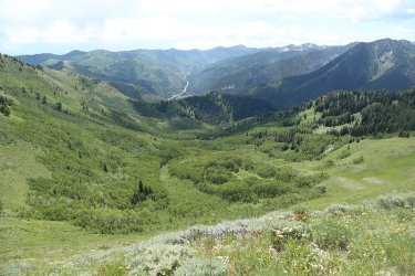65.jpg