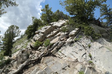 81.jpg