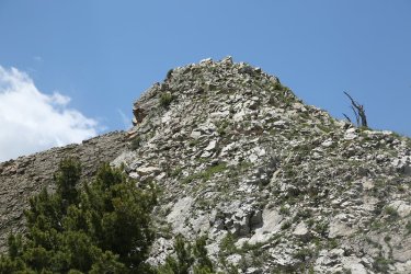 84.jpg