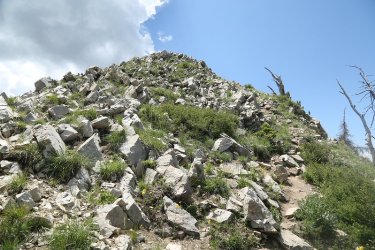85.jpg