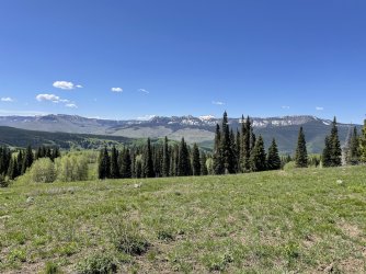 IMG_8785.jpeg
