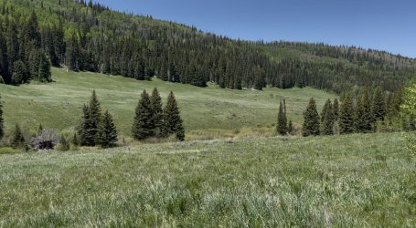 IMG_8896.jpeg