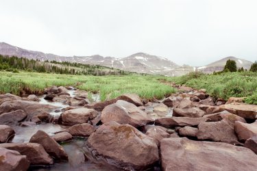 IMG_1163.jpeg