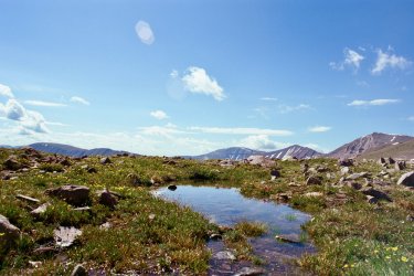 IMG_1190.jpeg