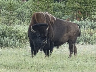 44980.jpg 44980.jpg