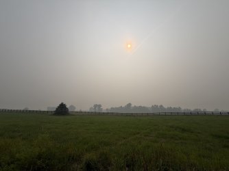 c5b04065-a257-4e31-965c-ad515a4a18d0.jpg