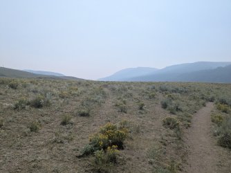 2026-08-03 14.53.24.jpg