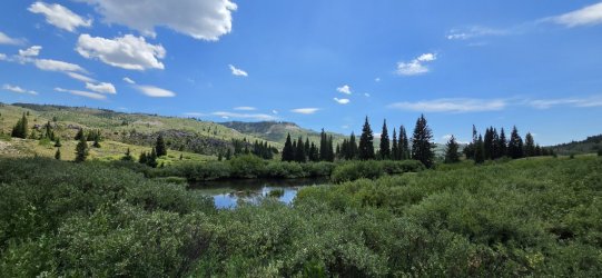 20260720_133610.jpg