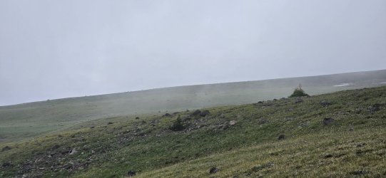 20260723_095641.jpg