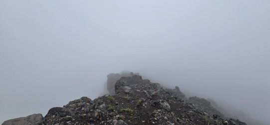 20260723_104904.jpg