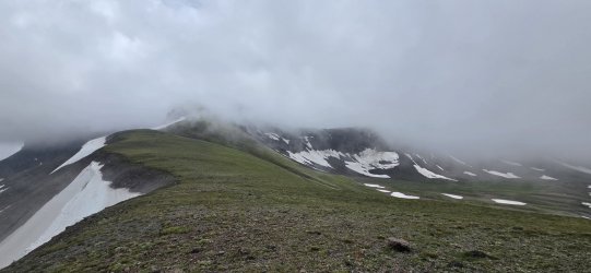 20260723_113030.jpg