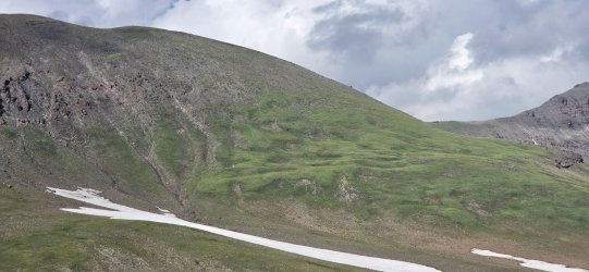 20260723_171849.jpg