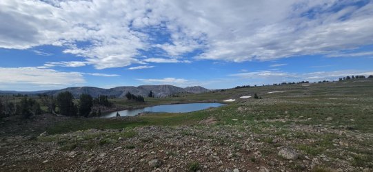 20260725_085644.jpg