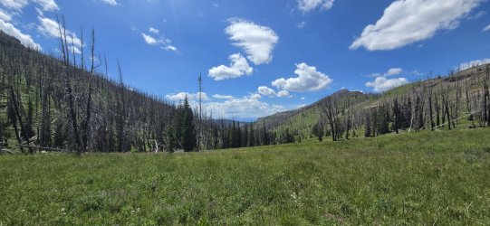 20260725_135610.jpg