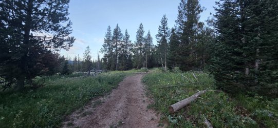 20260726_064238.jpg