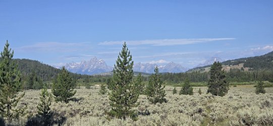 20260726_083016.jpg