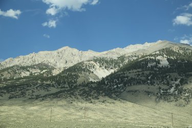 15.jpg 15.jpg