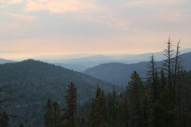 25.jpg 25.jpg