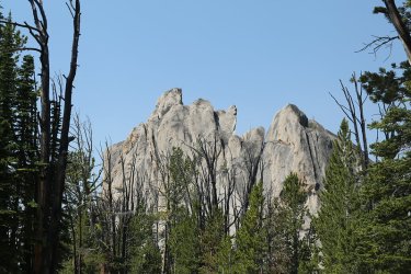39.jpg 39.jpg